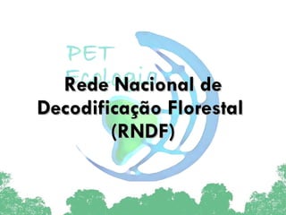 Rede Nacional de Decodificação Florestal  (RNDF) 