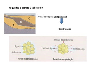 O que faz o estrato C sobre o B?


                          Pressão que gera Compactação




                                              Desidratação
 