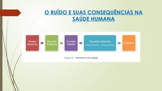 O RUÍDO E SUAS CONSEQUÊNCIAS NA
SAÚDE HUMANA
 