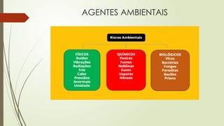 AGENTES AMBIENTAIS
 