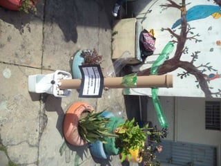 Apresentaçãos hgty