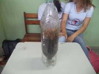 Apresentaçãos hgty