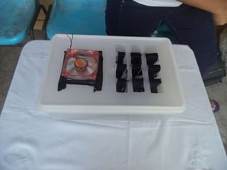 Apresentaçãos hgty