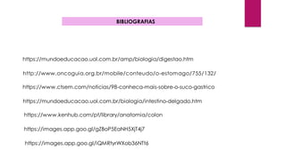 http://www.oncoguia.org.br/mobile/conteudo/o-estomago/755/132/
https://www.ctsem.com/noticias/98-conheca-mais-sobre-o-suco-gastrico
https://mundoeducacao.uol.com.br/biologia/intestino-delgado.htm
https://www.kenhub.com/pt/library/anatomia/colon
https://images.app.goo.gl/gZBoP5EaNH5XjT4j7
https://images.app.goo.gl/iQMRtyrWXob36NTt6
https://mundoeducacao.uol.com.br/amp/biologia/digestao.htm
BIBLIOGRAFIAS
 