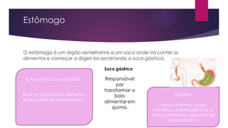 O estômago é um órgão semelhante a um saco onde irá conter os
alimentos e começar a digeri-los secretando o suco gástrico.
Estômago
A função do suco gástrico:
Atua na quebra dos alimentos
principalmente das proteínas.
Contêm:
Água, enzimas, ácido
clorídrico, sais inorgânicos, e
uma quantidade pequena de
ácido láctico.
Suco gástrico
Responsável
por
transformar o
bolo
alimentar em
quimo.
 