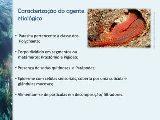 Doenças mais comuns em Moluscos | PPTX
