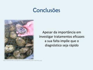 Doenças mais comuns em Moluscos | PPTX