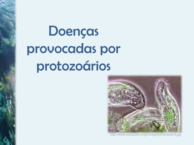 Doenças mais comuns em Moluscos | PPTX