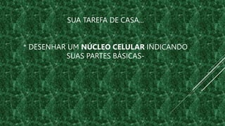 SUA TAREFA DE CASA...
* DESENHAR UM NÚCLEO CELULAR INDICANDO
SUAS PARTES BÁSICAS-
 