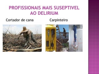 PROFISSIONAIS MAIS SUSEPTIVEL AO DELIRIUM Cortador de cana  Carpinteiro 