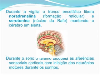 Durante a vigília o tronco encefálico libera  noradrenalina  (formação reticular) e  serotonina  (núcleo da Rafe) mantendo o cérebro em alerta.  Durante o sono o tálamo bloqueia as aferências sensoriais corticais com inibição dos neurônios motores durante os sonhos.  