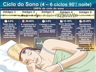 Ciclo do Sono  (4 – 6 ciclos 90’ / noite) 