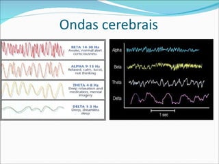 Ondas cerebrais 