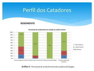 Perfil dos Catadores
15,15%
2,27%
12,50%
30,30%
9,09%
16,67%
54,55%
88,64%
100%
70,83%
0%
10%
20%
30%
40%
50%
60%
70%
80%
90%
100%
Consórcio Agreste Central Consórcio Sul e Centro Sul Consórcio Grande Aracaju Consórcio Baixo São
Francisco
Percentual de rendimentos em relação ao salário mínimo
< Salário Minímo
> Salário Minímo
Não declarou
RENDIMENTO
Gráfico 6 - Percentuais da renda financeira dos catadores de Sergipe.
 