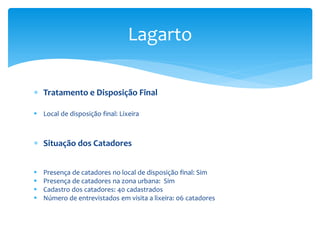  Tratamento e Disposição Final
 Local de disposição final: Lixeira
 Situação dos Catadores
 Presença de catadores no local de disposição final: Sim
 Presença de catadores na zona urbana: Sim
 Cadastro dos catadores: 40 cadastrados
 Número de entrevistados em visita a lixeira: 06 catadores
Lagarto
 