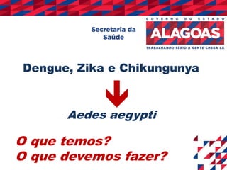 Dengue, Zika e Chikungunya
Aedes aegypti
O que temos?
O que devemos fazer?
 