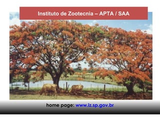 home page:  www.iz.sp.gov.br Instituto de Zootecnia – APTA / SAA 