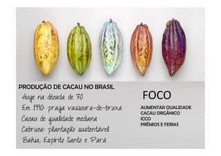 PRODUÇÃO DE CACAU NO BRASIL
Auge na década de 70               FOCO
Em 1990: praga vassoura-de-bruxa   AUMENTAR QUALIDADE
                                   CACAU ORGÂNICO
Cacau de qualidade mediana         ICCO
                                   PRÊMIOS E FEIRAS
Cabruca: plantação sustentável
Bahia, Espírito Santo e Pará
 