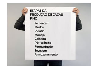 ETAPAS DA
PRODUÇÃO DE CACAU
FINO
   Sementes
   Mudas
   Plantio
   Manejo
   Colheita
   Pós-colheita
   Fermentação
   Secagem
   Armazenamento
 