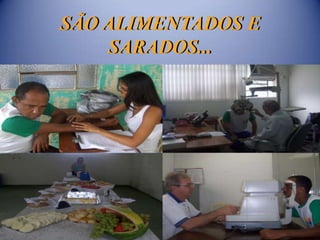 SÃO ALIMENTADOS E
    SARADOS...
 