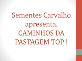Sementes Carvalho
apresenta.
CAMINHOS DA
PASTAGEM TOP !
 