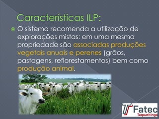  O sistema recomenda a utilização de
explorações mistas: em uma mesma
propriedade são associadas produções
vegetais anuais e perenes (grãos,
pastagens, reflorestamentos) bem como
produção animal.
 