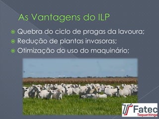  Quebra do ciclo de pragas da lavoura;
 Redução de plantas invasoras;
 Otimização do uso do maquinário;
 
