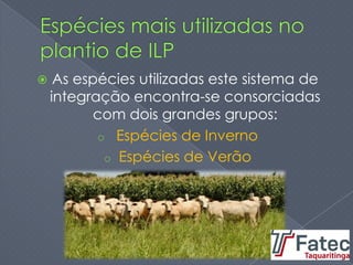  As espécies utilizadas este sistema de
integração encontra-se consorciadas
com dois grandes grupos:
o Espécies de Inverno
o Espécies de Verão
 