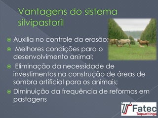  Auxilia no controle da erosão;
 Melhores condições para o
desenvolvimento animal;
 Eliminação da necessidade de
investimentos na construção de áreas de
sombra artificial para os animais;
 Diminuição da frequência de reformas em
pastagens
 