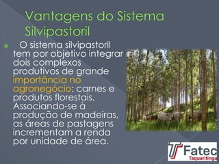  O sistema silvipastoril
tem por objetivo integrar
dois complexos
produtivos de grande
importância no
agronegócio: carnes e
produtos florestais.
Associando-se à
produção de madeiras,
as áreas de pastagens
incrementam a renda
por unidade de área.
 