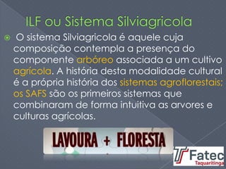  O sistema Silviagricola é aquele cuja
composição contempla a presença do
componente arbóreo associada a um cultivo
agrícola. A história desta modalidade cultural
é a própria história dos sistemas agroflorestais;
os SAFS são os primeiros sistemas que
combinaram de forma intuitiva as arvores e
culturas agrícolas.
 