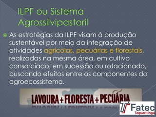  As estratégias da ILPF visam à produção
sustentável por meio da integração de
atividades agrícolas, pecuárias e florestais,
realizadas na mesma área, em cultivo
consorciado, em sucessão ou rotacionado,
buscando efeitos entre os componentes do
agroecossistema.
 
