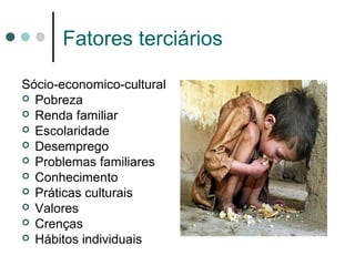 Fatores terciários
Sócio-economico-cultural
 Pobreza
 Renda familiar
 Escolaridade
 Desemprego
 Problemas familiares
 Conhecimento
 Práticas culturais
 Valores
 Crenças
 Hábitos individuais
 