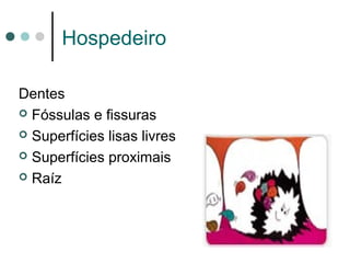 Hospedeiro
Dentes
 Fóssulas e fissuras
 Superfícies lisas livres
 Superfícies proximais
 Raíz
 