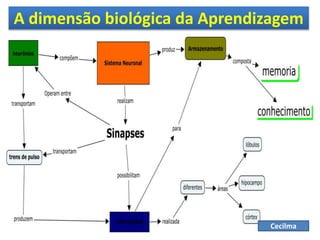 A dimensão biológica da Aprendizagem
Cecilma
 