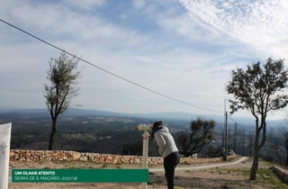 UM OLHAR ATENTO
SERRA DE S. MACÁRIO, 2017/18
 