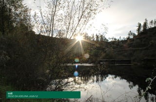 LUZ
PEGO DA ADELINA, 2016/17
 