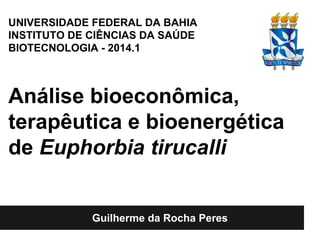 Análise do potencial bioeconômico e
terapêutico de Euphorbia tirucalli
Guilherme da Rocha Peres
UNIVERSIDADE FEDERAL DA BAHIA
INSTITUTO DE CIÊNCIAS DA SAÚDE
BIOTECNOLOGIA - 2014.1
Análise bioeconômica,
terapêutica e bioenergética
de Euphorbia tirucalli
 