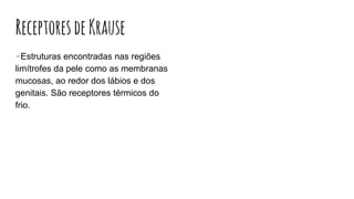 ReceptoresdeKrause
-Estruturas encontradas nas regiões
limítrofes da pele como as membranas
mucosas, ao redor dos lábios e dos
genitais. São receptores térmicos do
frio.
 