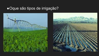 ●Oque são tipos de irrigação?
 