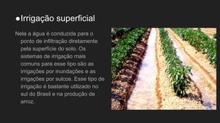 ●Irrigação superficial
Nela a água é conduzida para o
ponto de infiltração diretamente
pela superfície do solo. Os
sistemas de irrigação mais
comuns para esse tipo são as
irrigações por inundações e as
irrigações por sulcos. Esse tipo de
irrigação é bastante utilizado no
sul do Brasil e na produção de
arroz.
 