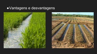●Vantagens e desvantagens
 