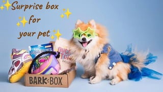 Surprise box
for
your pet✨
✨
✨
✨
 