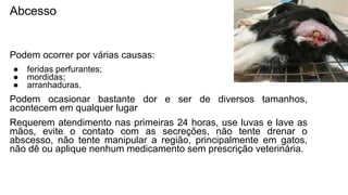 Abcesso
Podem ocorrer por várias causas:
● feridas perfurantes;
● mordidas;
● arranhaduras.
Podem ocasionar bastante dor e ser de diversos tamanhos,
acontecem em qualquer lugar
Requerem atendimento nas primeiras 24 horas, use luvas e lave as
mãos, evite o contato com as secreções, não tente drenar o
abscesso, não tente manipular a região, principalmente em gatos,
não dê ou aplique nenhum medicamento sem prescrição veterinária.
 