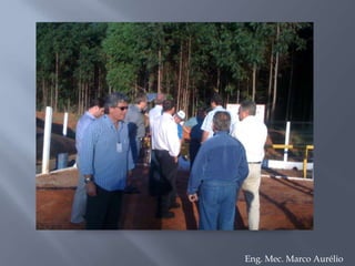 Média percentual dos custos na Indústria cerâmicaEng. Mec. Marco Aurélio