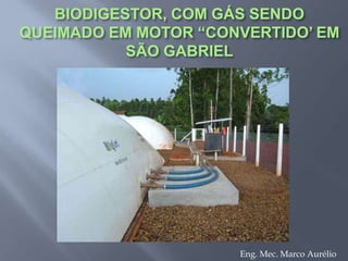 A preservação chama-se	GNBio