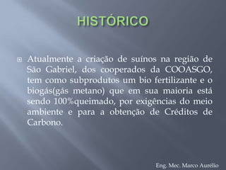 HISTÓRICOAtualmente a criação de suínos na região de São Gabriel, dos cooperados da COOASGO, tem como subprodutos um bio fertilizante e o biogás(gás metano) que em sua maioria está sendo 100%queimado, por exigências do meio ambiente e para a obtenção de Créditos de Carbono.Eng. Mec. Marco Aurélio