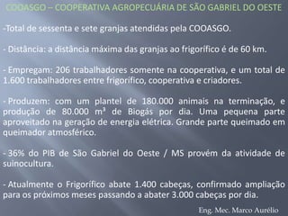 COOASGO – COOPERATIVA AGROPECUÁRIA DE SÃO GABRIEL DO OESTETotal de sessenta e sete granjas atendidas pela COOASGO.