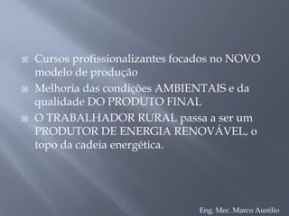 Industria FORNARI	Proximidade de um centro fornecedor com ¼ da distância a ser percorrida pelo transporte rodoviário do GÁSSubstituição de  combustível FOSSIL ( gás natural, óleo diesel, GLP) por um RENOVÁVEL – único caso no BRASILTodo o SISTEMA ENERGÉTICO pode ser substituído pelo de ENERGIA RENOVÁVEL  liberando a rede local para o consumo da comunidadeEng. Mec. Marco Aurélio