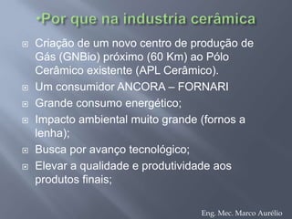  Empregam: 206 trabalhadores somente na cooperativa, e um total de 1.600 trabalhadores entre frigorífico, cooperativa e criadores.